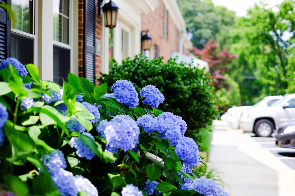 The Townes at Bishops Park - Raleigh Townhomes for Rent Near Fletcher Park